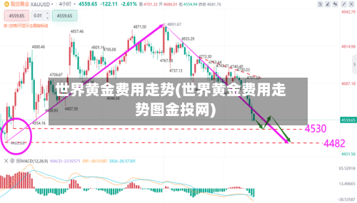 世界黄金费用走势(世界黄金费用走势图金投网)-第2张图片
