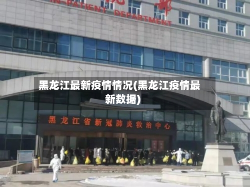 黑龙江最新疫情情况(黑龙江疫情最新数据)-第2张图片
