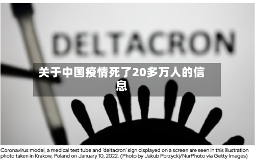 关于中国疫情死了20多万人的信息