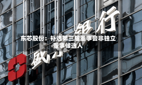 东芯股份：补选第三届董事会非独立董事候选人-第3张图片