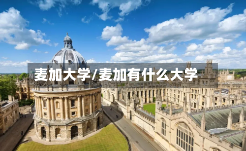 麦加大学/麦加有什么大学