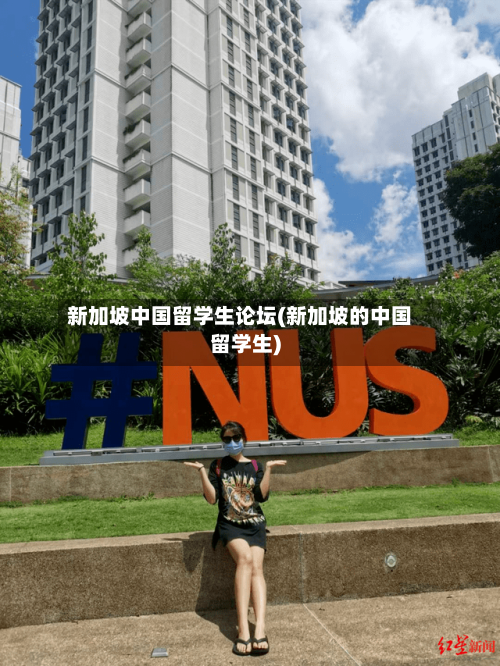 新加坡中国留学生论坛(新加坡的中国留学生)-第3张图片