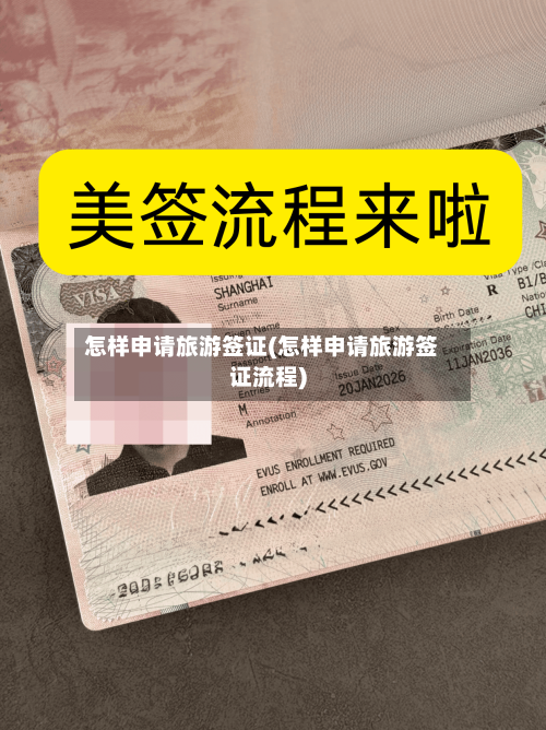 怎样申请旅游签证(怎样申请旅游签证流程)-第3张图片