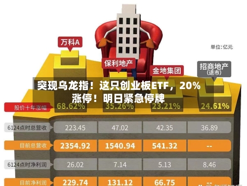 突现乌龙指！这只创业板ETF，20%涨停！明日紧急停牌-第2张图片