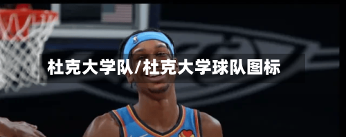 杜克大学队/杜克大学球队图标