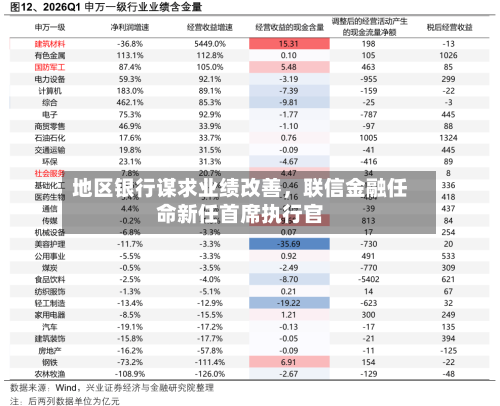 地区银行谋求业绩改善	，联信金融任命新任首席执行官-第2张图片