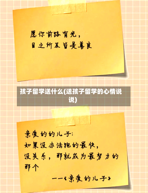孩子留学送什么(送孩子留学的心情说说)-第2张图片