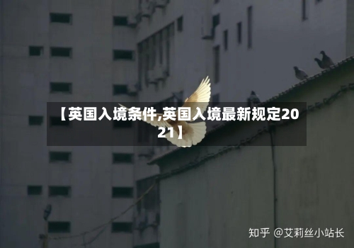 【英国入境条件,英国入境最新规定2021】-第2张图片