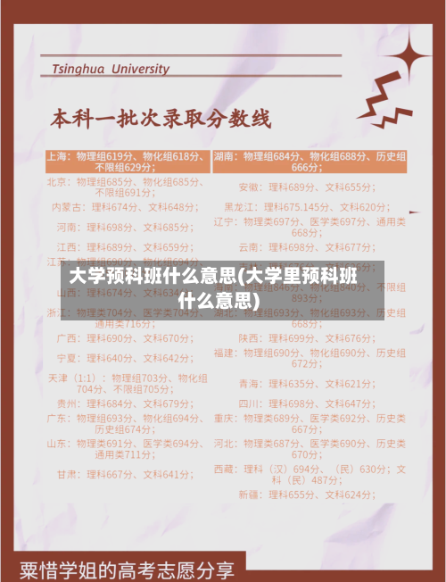 大学预科班什么意思(大学里预科班什么意思)-第2张图片