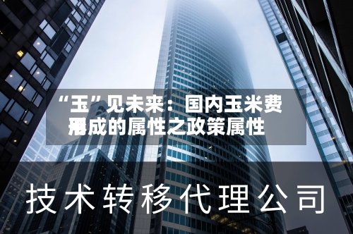 “玉”见未来：国内玉米费用形成的属性之政策属性-第3张图片