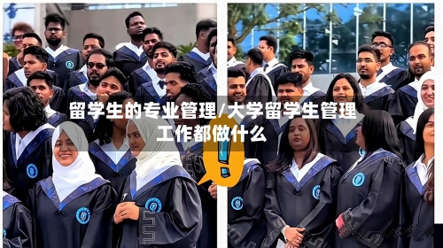 留学生的专业管理/大学留学生管理工作都做什么