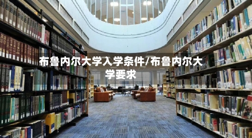 布鲁内尔大学入学条件/布鲁内尔大学要求-第3张图片