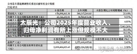 太辰光：公司2025年度营业收入	、归母净利润有所上涨但规模不大-第2张图片