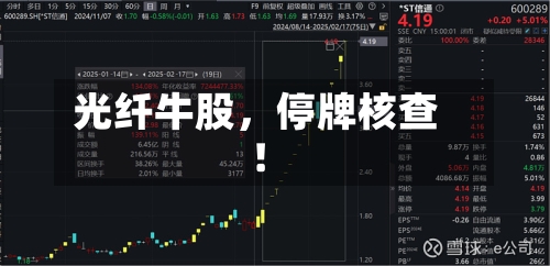 光纤牛股,停牌核查!