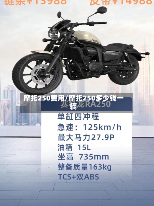 摩托250费用/摩托250多少钱一辆-第3张图片