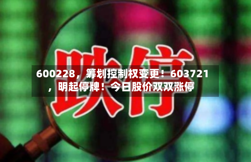600228，筹划控制权变更！603721	，明起停牌！今日股价双双涨停-第3张图片