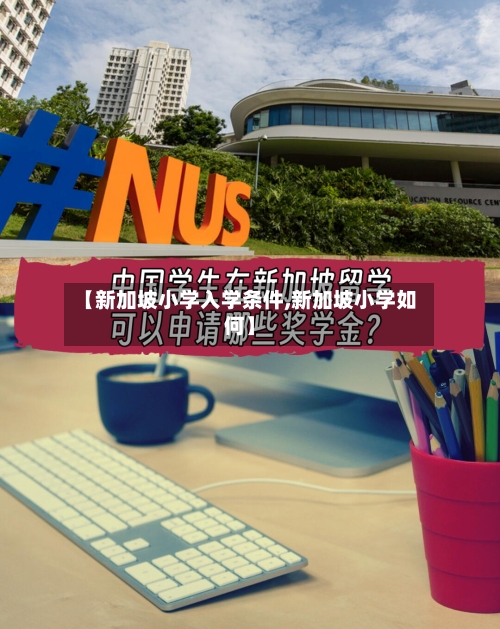 【新加坡小学入学条件,新加坡小学如何】-第2张图片