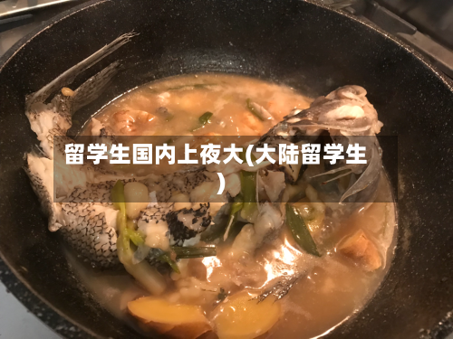 留学生国内上夜大(大陆留学生)