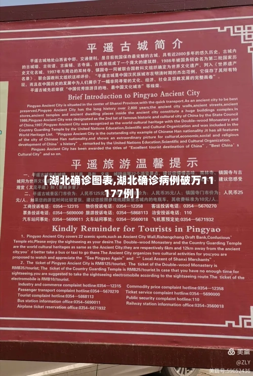 【湖北确诊图表,湖北确诊病例破万11177例】