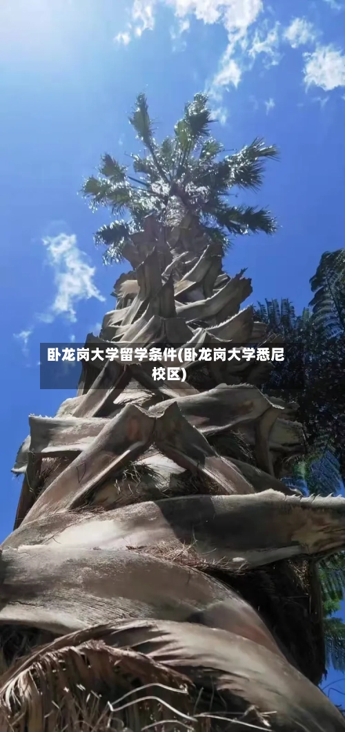 卧龙岗大学留学条件(卧龙岗大学悉尼校区)-第2张图片