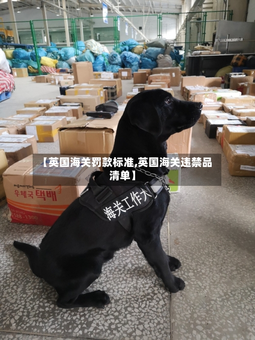 【英国海关罚款标准,英国海关违禁品清单】