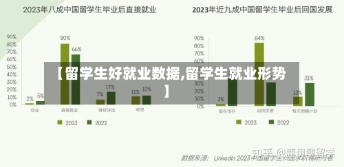 【留学生好就业数据,留学生就业形势】