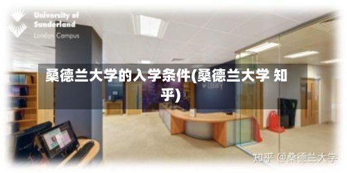 桑德兰大学的入学条件(桑德兰大学 知乎)