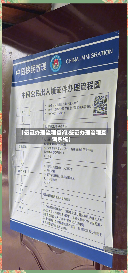 【签证办理流程查询,签证办理流程查询系统】