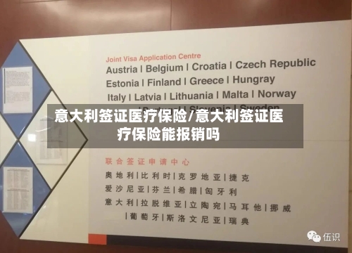 意大利签证医疗保险/意大利签证医疗保险能报销吗
