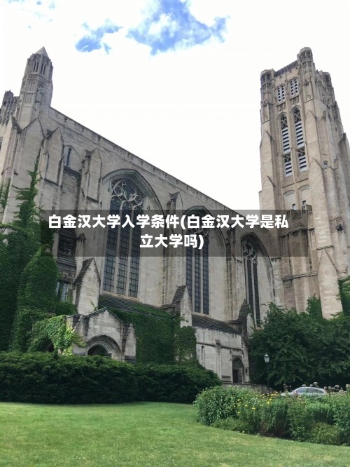 白金汉大学入学条件(白金汉大学是私立大学吗)