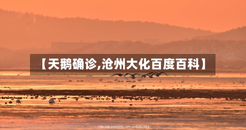 【天鹅确诊,沧州大化百度百科】-第2张图片