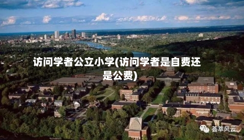 访问学者公立小学(访问学者是自费还是公费)-第3张图片