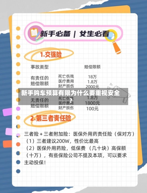新手购车预算有限为什么要重视安全？