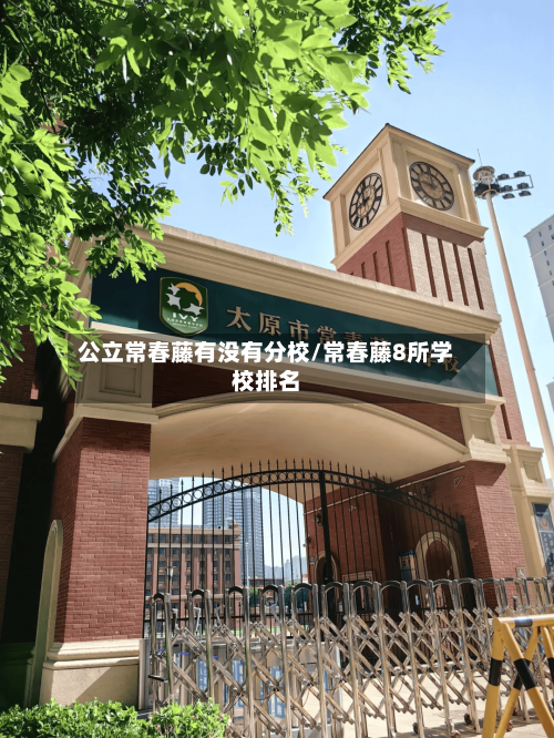 公立常春藤有没有分校/常春藤8所学校排名