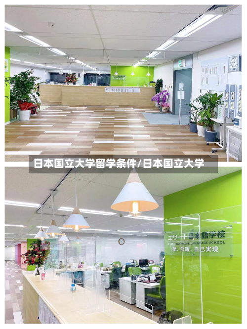 日本国立大学留学条件/日本国立大学-第2张图片