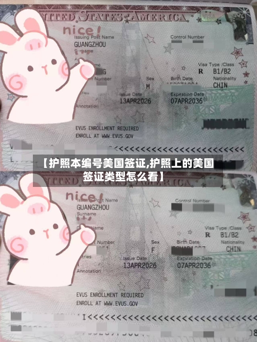 【护照本编号美国签证,护照上的美国签证类型怎么看】
