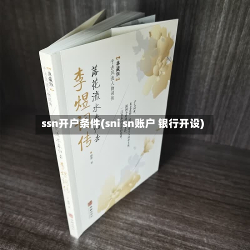 ssn开户条件(sni sn账户 银行开设)