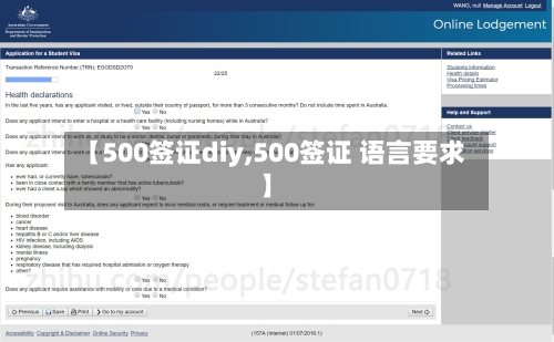 【500签证diy,500签证 语言要求】-第2张图片