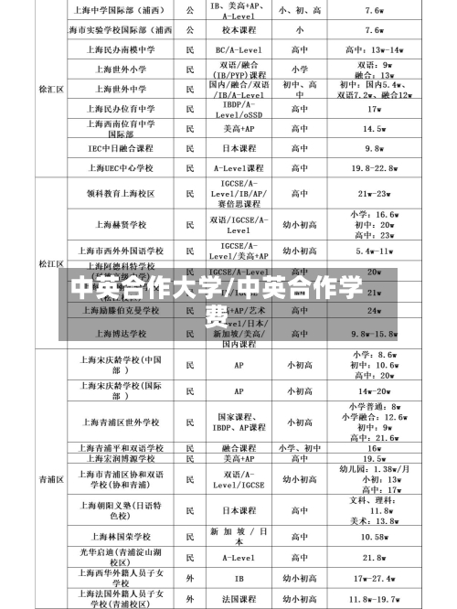 中英合作大学/中英合作学费