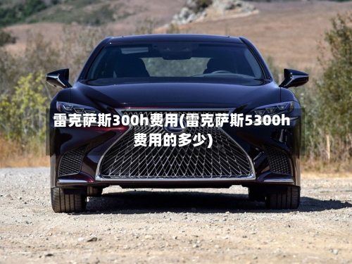 雷克萨斯300h费用(雷克萨斯5300h费用的多少)