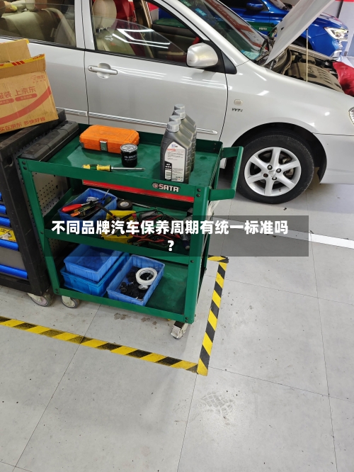 不同品牌汽车保养周期有统一标准吗?-第3张图片