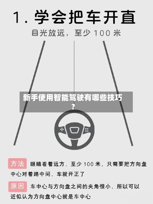 新手使用智能驾驶有哪些技巧？