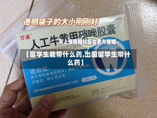 【留学生能带什么药,出国留学生带什么药】