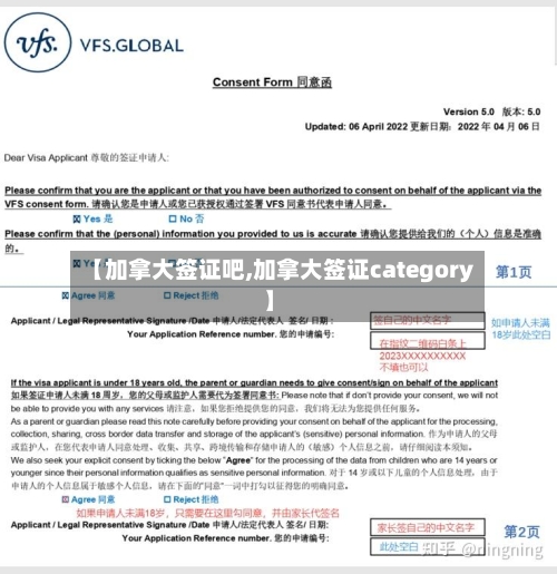 【加拿大签证吧,加拿大签证category】-第3张图片