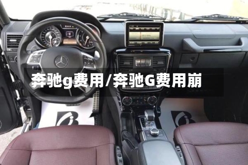 奔驰g费用/奔驰G费用崩