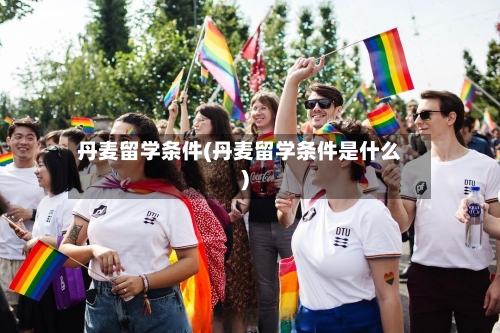 丹麦留学条件(丹麦留学条件是什么)