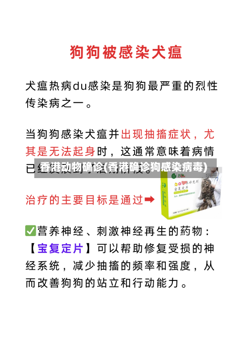 香港动物确诊(香港确诊狗感染病毒)