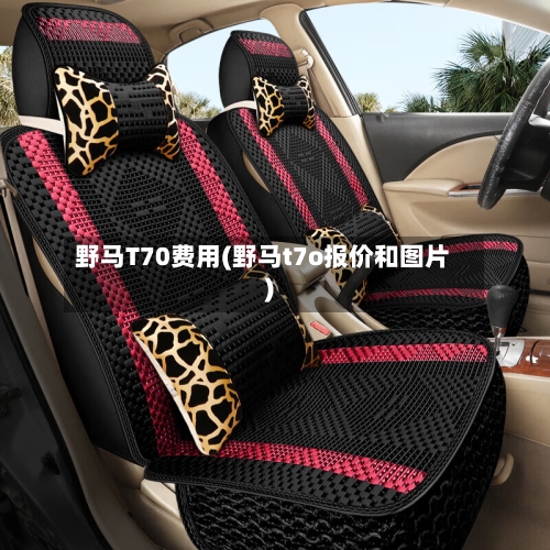 野马T70费用(野马t7o报价和图片)-第2张图片