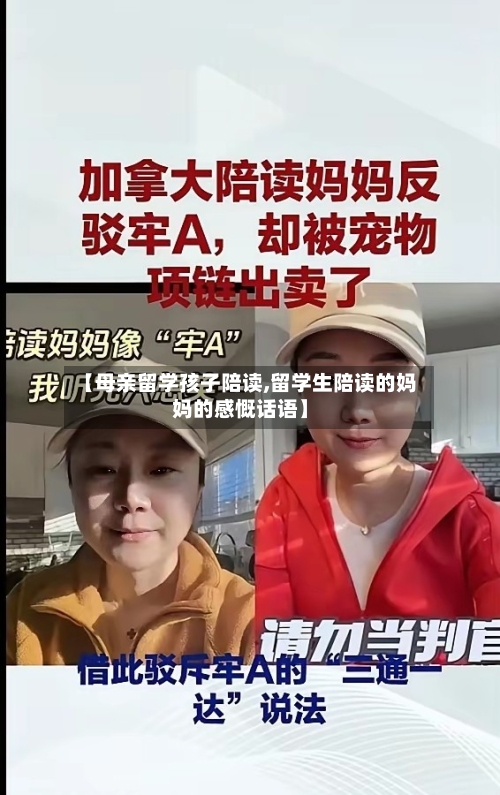 【母亲留学孩子陪读,留学生陪读的妈妈的感慨话语】