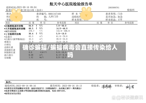 确诊蝙蝠/蝙蝠病毒会直接传染给人吗-第2张图片